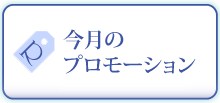 今月のプロモーション