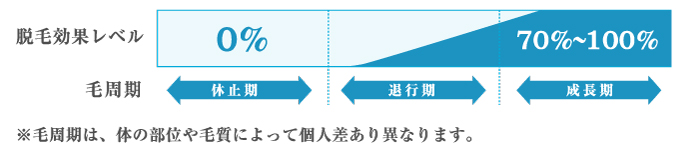 効率の良い脱毛