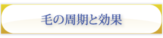 毛の周期と効果