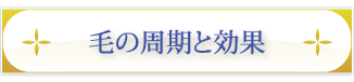 毛の周期と効果