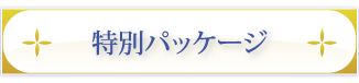 特別パッケージ