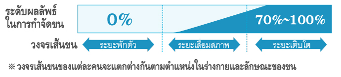 การกำจัดขนที่ได้ผลดี